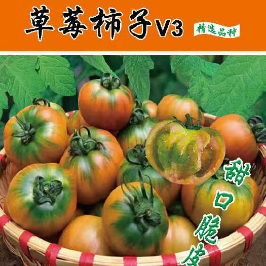 口感番茄，草莓杮子