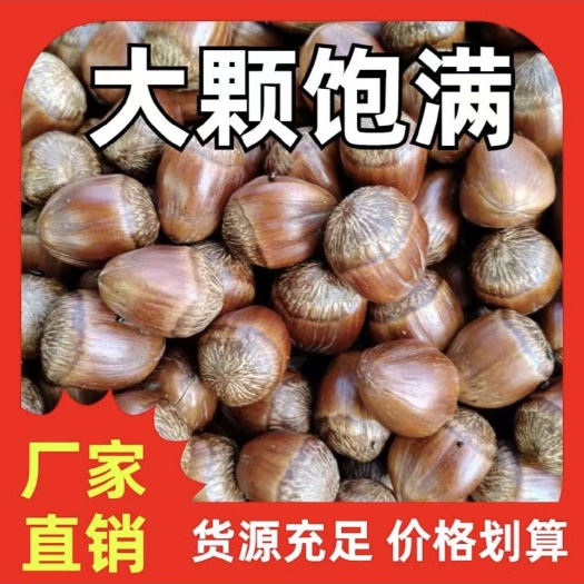 东北铁岭大榛子,熟榛子,手拍开口大榛子,榛子之乡产地供应