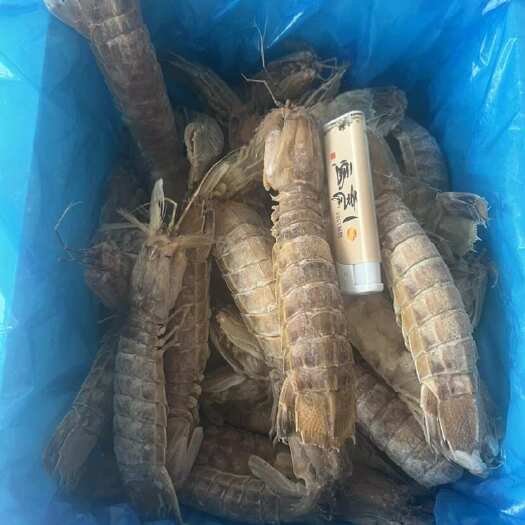 北海活煮皮皮虾硬壳