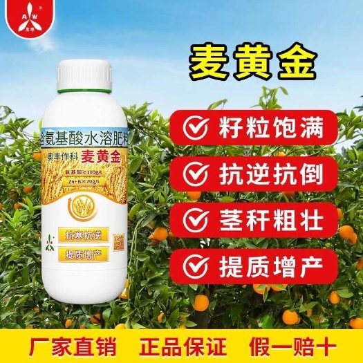 潍坊麦黄金小麦增产专用叶面肥 壮苗促分蘖灌浆籽粒饱满抗倒