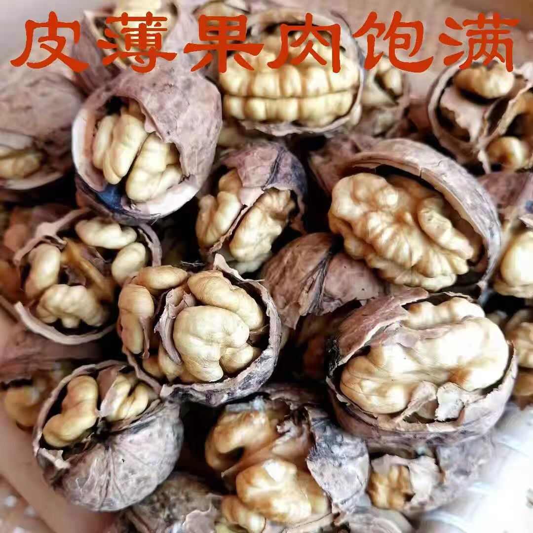 四川大凉山野山核桃干核桃甜香不苦涩，2025年。地方特产。