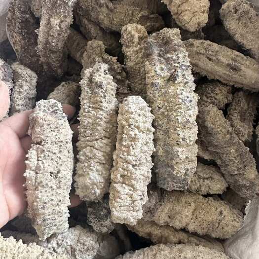 埃及黄玉参 10头白黄肉海参干货批发 足干淡干 8倍发头