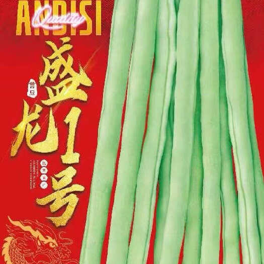 大连架豆角，圆棍型，白不老