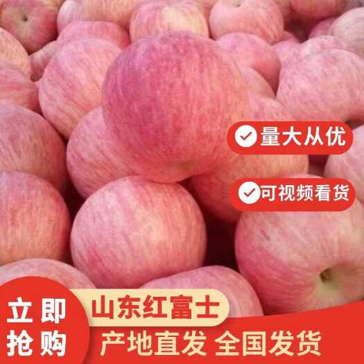 ［推荐］红富士苹果 保质保量 苹果 产地供应 对接全国各客商
