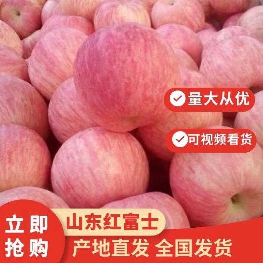 临朐县［推荐］红富士苹果 保质保量 苹果 产地供应 对接全国各客商
