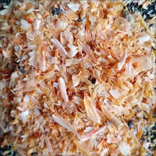 石家庄虾糠