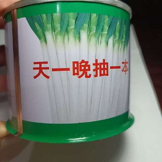 济南天一晚抽一本，晚抽大葱种子，铁杆大葱种子