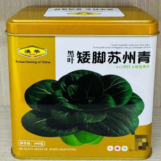 四季青菜种子绿领苏冠228矮脚上海青菜种子苏州青菜种子
