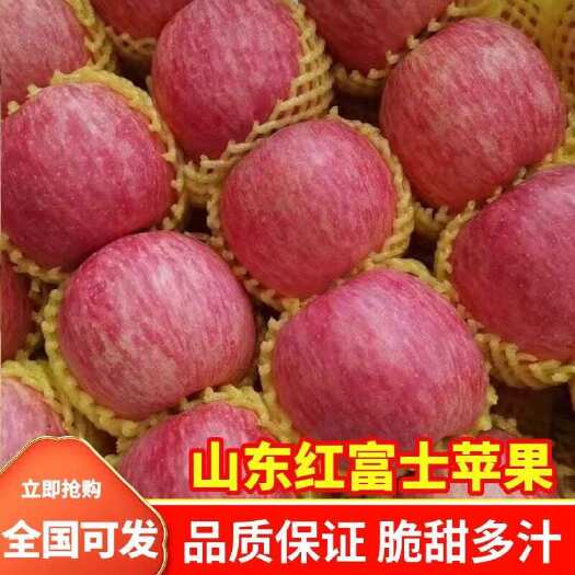 蒙阴县［推荐］山东苹果 红富士苹果 口感脆甜 品质保障 产地供应