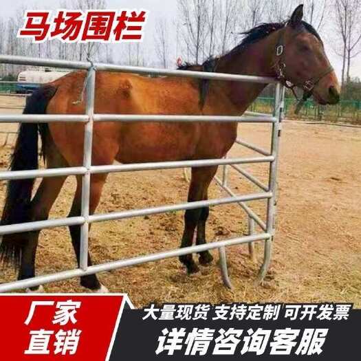 安平县马场围栏可移动钢管隔离栏马术赛道护栏养殖畜牧铁栅栏圈牛羊围栏