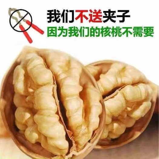 沧县新疆185纸皮核桃