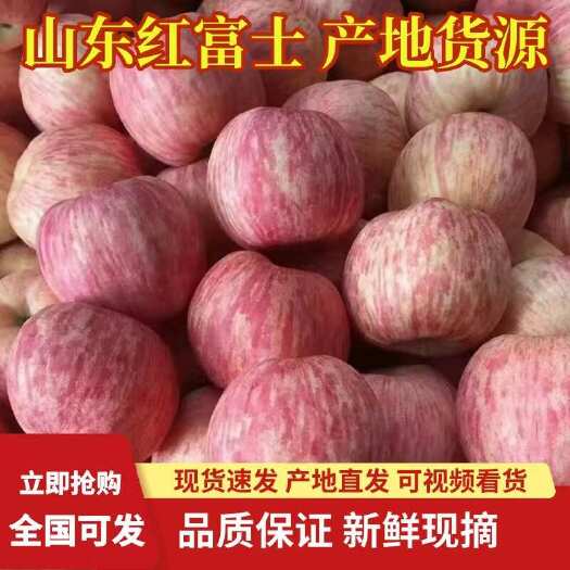 沂源县红富士苹果 山东苹果 产地供应 电商 商超批发对接 质廉价优