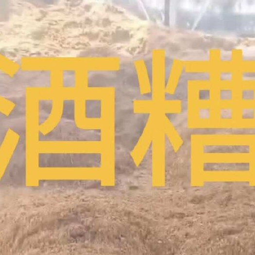 亳州古井贡酒白酒糟  养牛喜欢 猪鸡牛羊专用 手摸很粘 养分充足