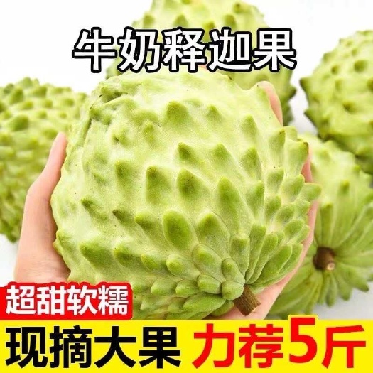 新鲜牛奶释迦果5斤当季热带水果大果番荔枝释迦佛头果非1斤