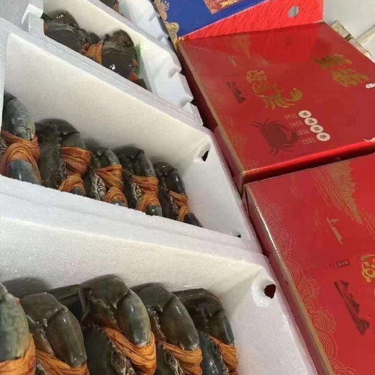 三门县三门青蟹肉质鲜甜可口有送礼的自己吃的看过来，可以联系我