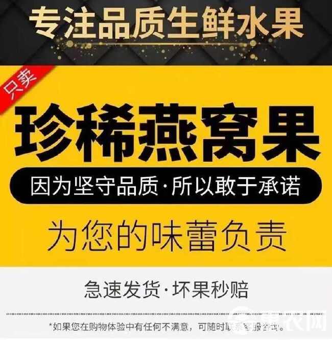 海南燕窝果麒麟果一件代发报价，全平台！