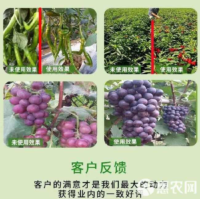 苗硕丰枯草芽孢杆菌提高肥效生根壮苗农用正品直发通用抗重茬根腐