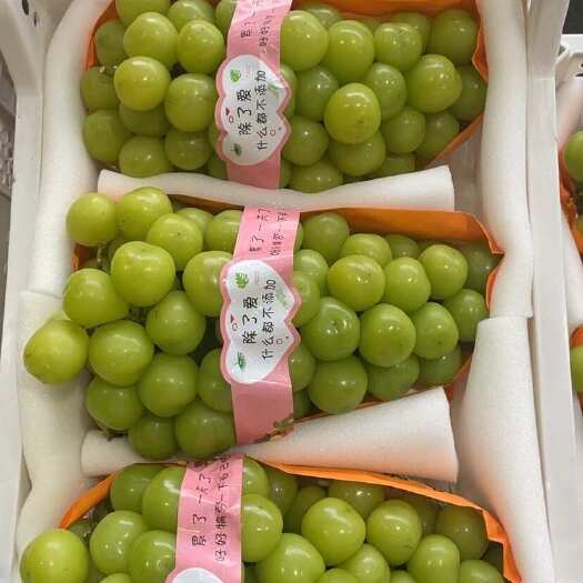 新沂市阳光玫瑰