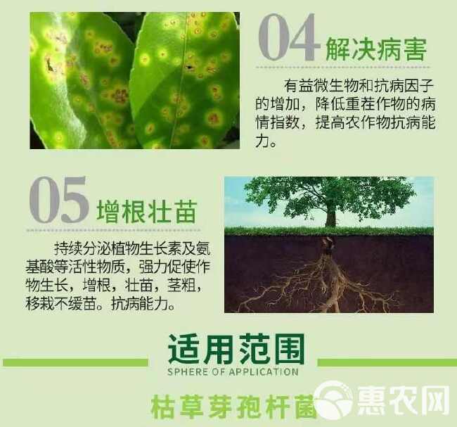 苗硕丰枯草芽孢杆菌提高肥效生根壮苗农用正品直发通用抗重茬根腐