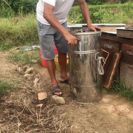 杭州土蜂蜜