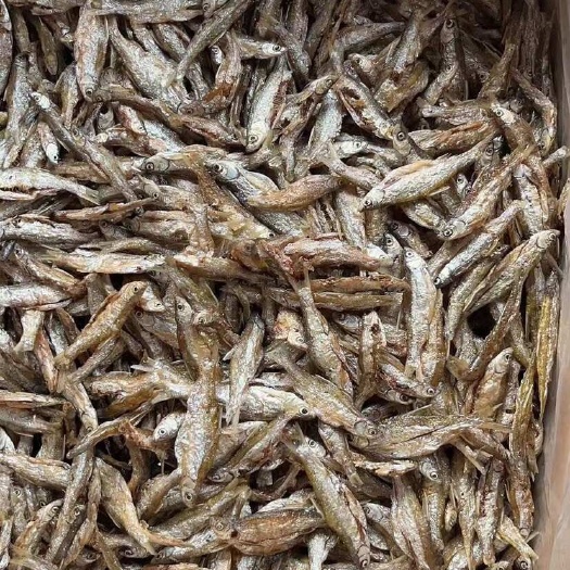 天峨县油炸白肖 蓝刀鱼干