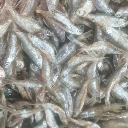 天峨县油炸白条鱼干