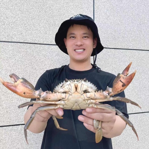 三门县三门青蟹肉质鲜甜可口