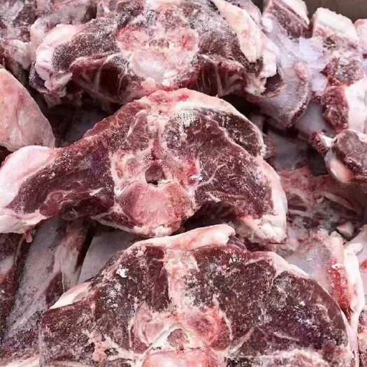 河间市羔羊蝴蝶排 多肉羊蝎子 肉量可观 物美价廉 40斤一件起发