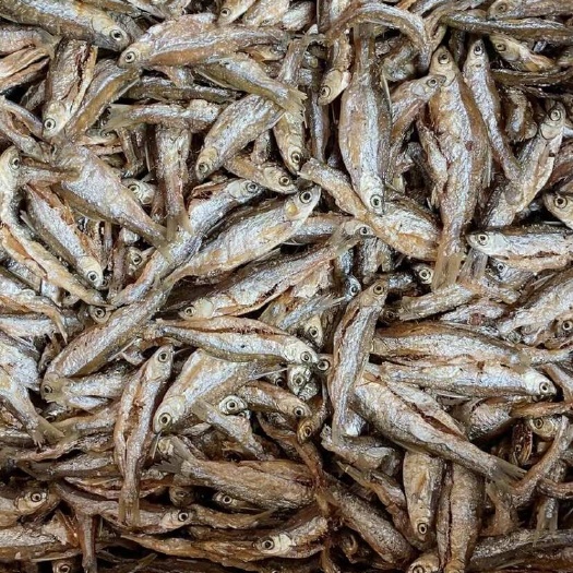 油干 白条少油 不苦