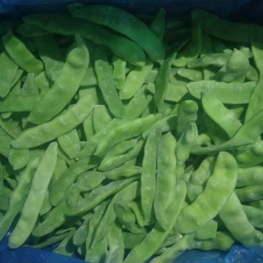富裕县出售 速冻油豆角