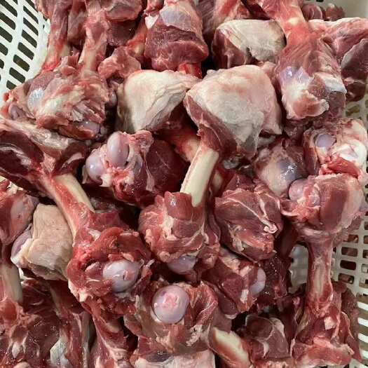 羊骨头 本地育肥羊加肉羊棒骨 满骨髓 大蘑菇头 肉超多