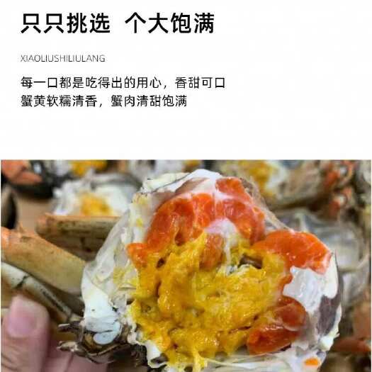 苏州阳澄湖镇大闸蟹，3母、精挑蟹、硬规格，防伪溯源码