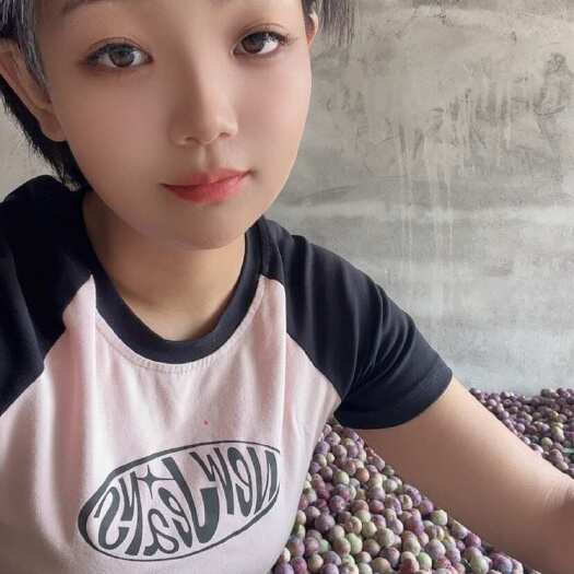 汉源县高山老树脆红李