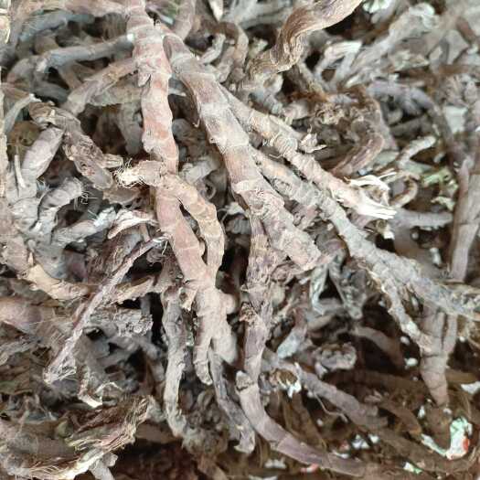 沅陵县石菖蒲干个子