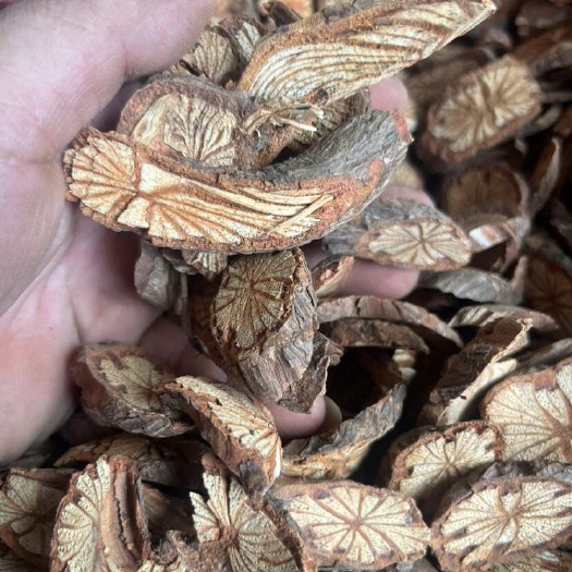 阳山县红藤！脑血通！大血藤