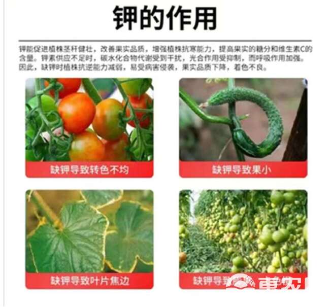 奥果美钾增甜肥料水溶膨果转色增产叶面肥高钾水果农用奥丰正品