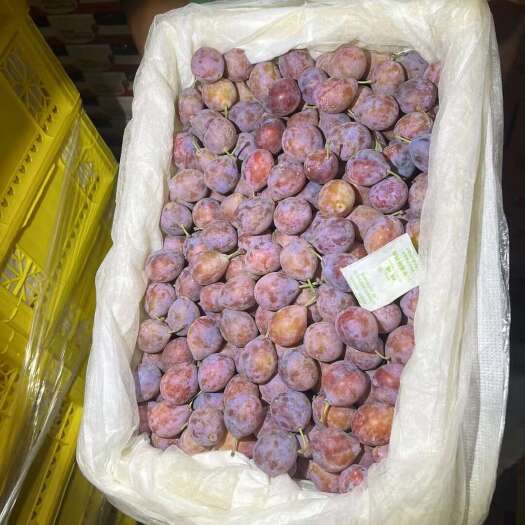 南宁新疆西梅，十斤装微微软，超甜，顺丰包邮