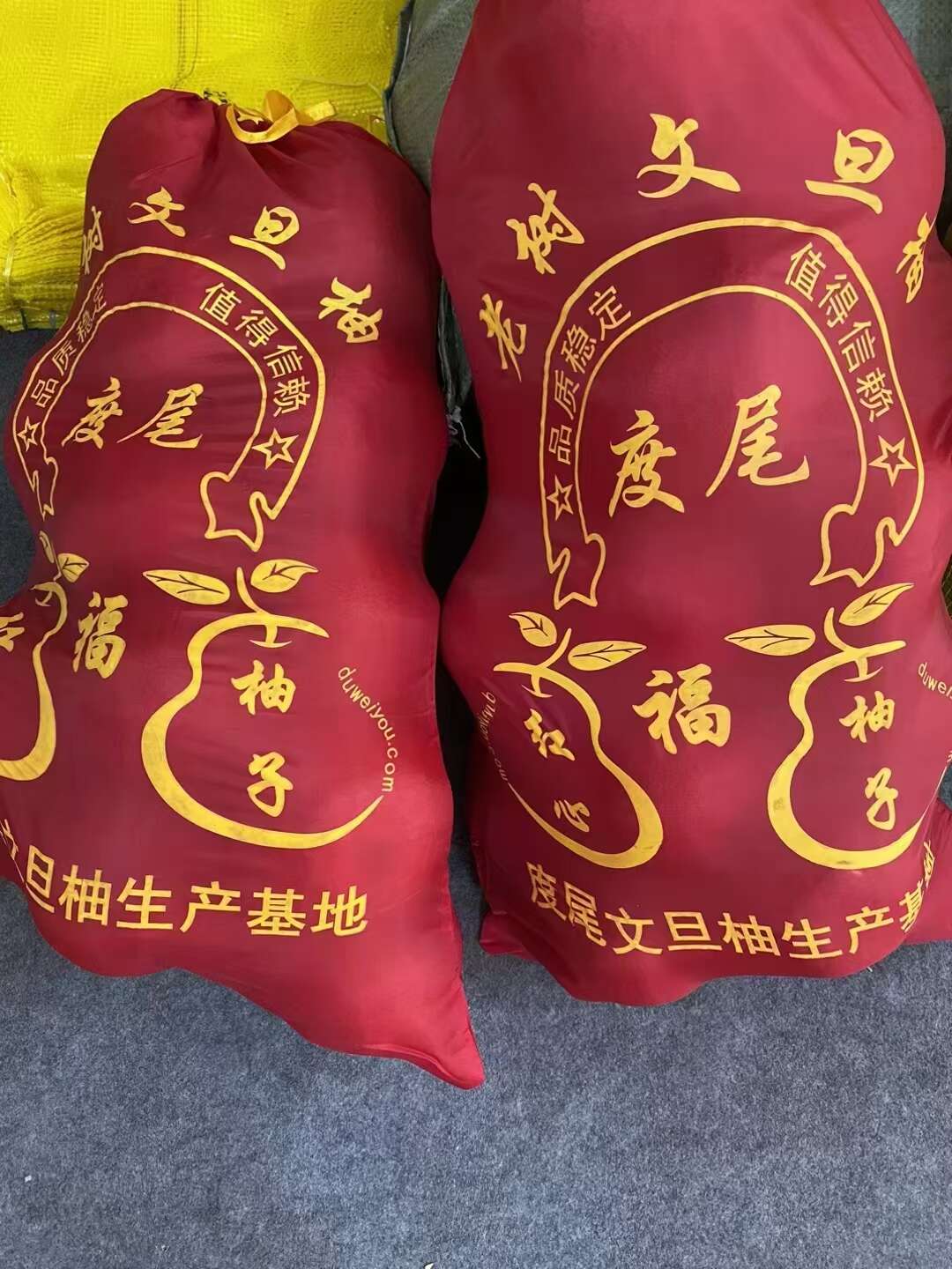 度尾红心文旦柚