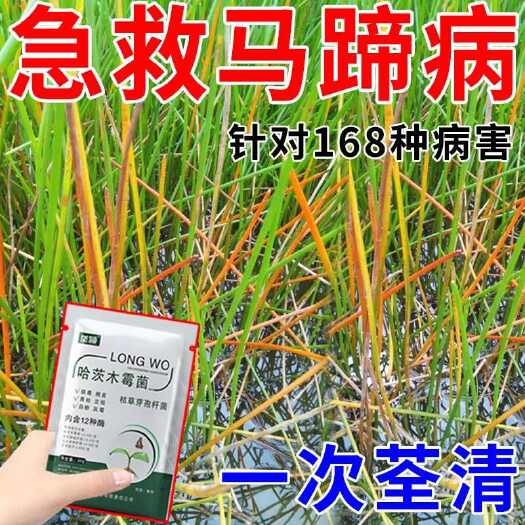栾川县马蹄专用药马蹄病全治白粉病杆枯病枯萎病红尾病炭疽烂根死苗杀菌