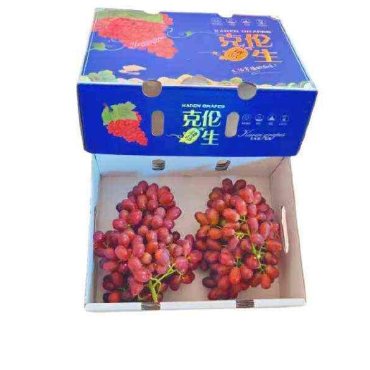西昌市新鲜上市克伦生葡萄  脆甜可口  精品果五斤装礼盒装  包邮
