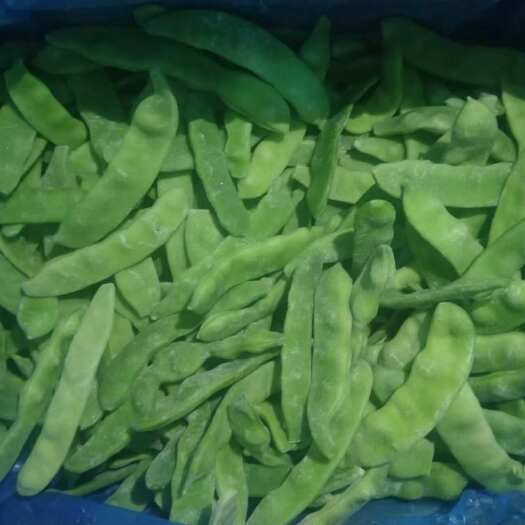 富裕县出售速冻油豆角