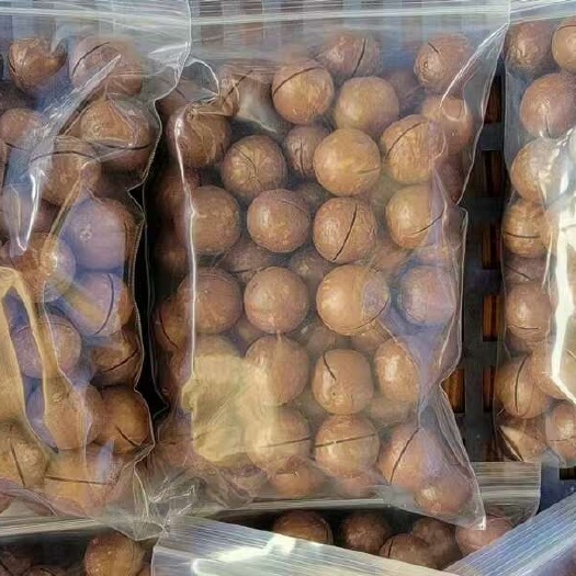 梧州坚果干果夏威夷干果还没开口，需要的老板预订有个几千斤