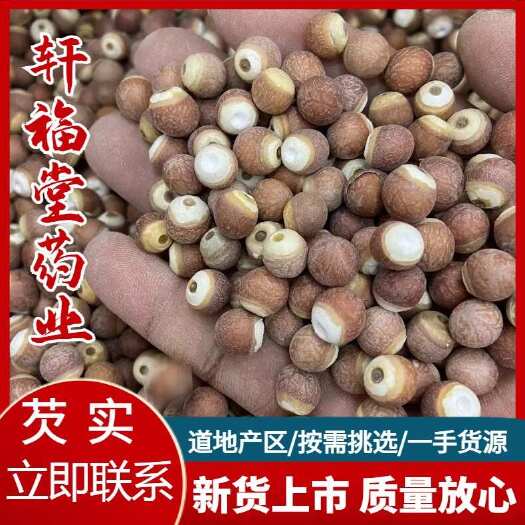 亳州【芡实】芡实仁芡实米实物拍摄，规格齐全大货供应量大优惠秒发