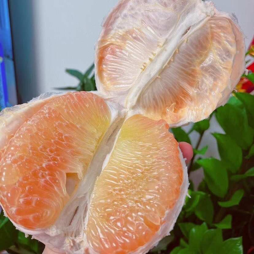 泰国翡翠青柚红心蜜柚青皮水果应季水果新鲜整箱批发5斤