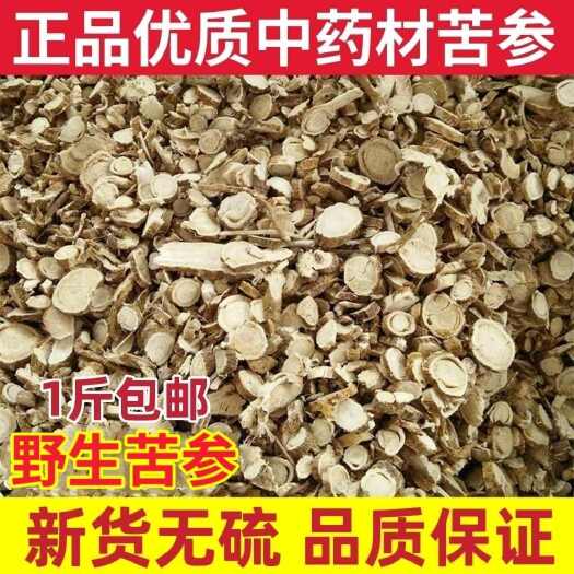 苦参 中药材苦参 内蒙苦参大货供应一斤包邮