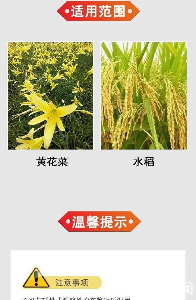 亿嘉卡秋莎肟菌戊唑醇黄花菜锈病水稻纹枯病通用农药杀菌剂