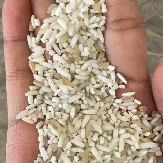 犍为县好鸡米，好酒米