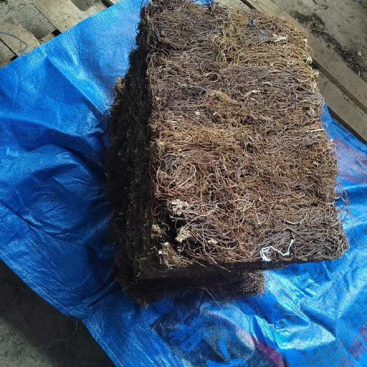 凤城市威灵仙价格可议