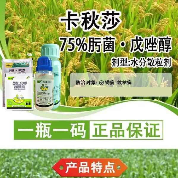 亿嘉卡秋莎肟菌戊唑醇黄花菜锈病水稻纹枯病通用农药杀菌剂