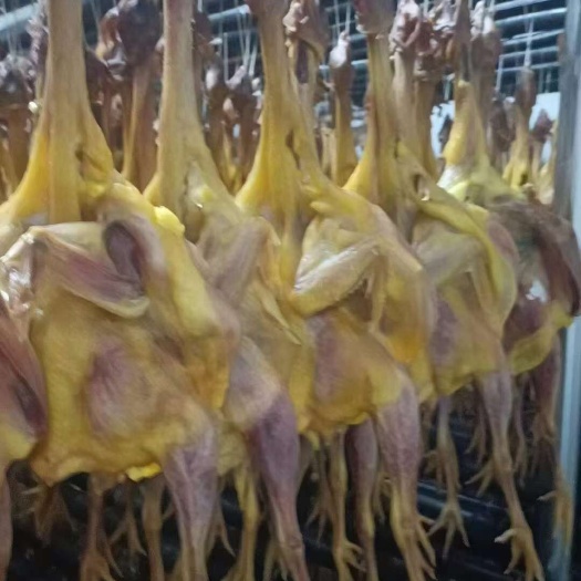 成都风干鸡 风吹鸡 腊鸡 颜色漂亮肉质紧实 展销会特产店摆摊批发